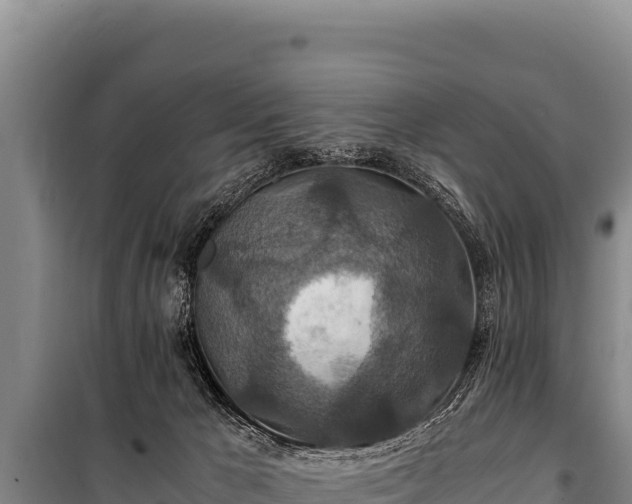 X0000100860029200806271210