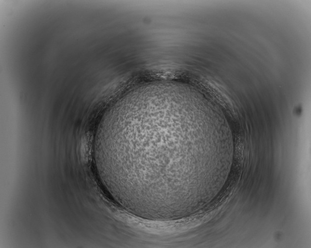 X0000100860030200806271210