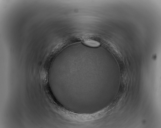 X0000100860031200806271210