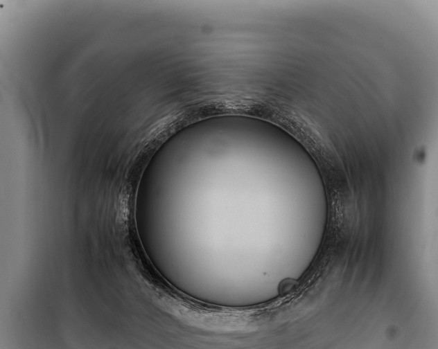 X0000100860032200806271210