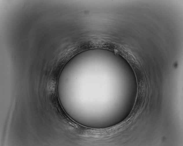 X0000100860033200806271210