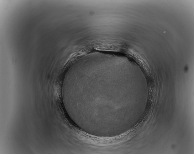 X0000100860035200806271210