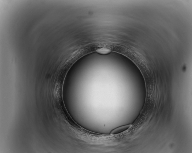 X0000100860036200806271210