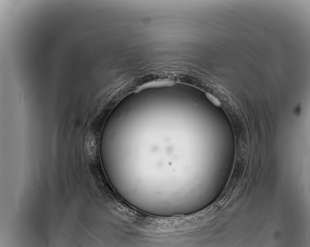 X0000100860037200806271210