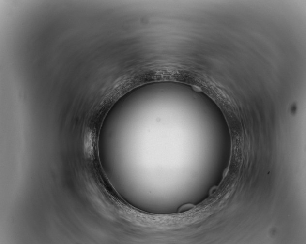 X0000100860038200806271210