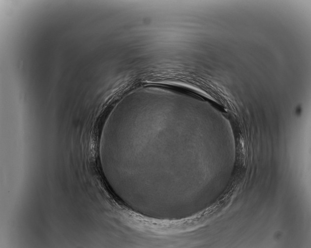 X0000100860039200806271210