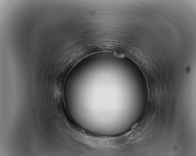 X0000100860040200806271210