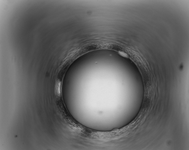 X0000100860041200806271210