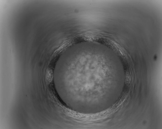 X0000100860043200806271210