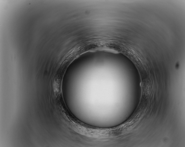 X0000100860044200806271210