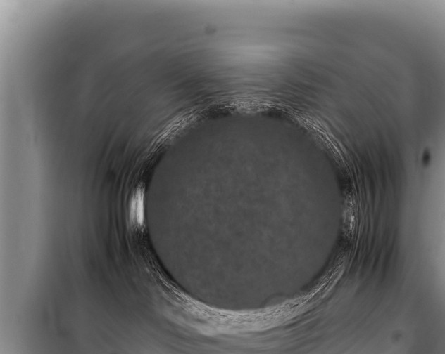 X0000100860046200806271210