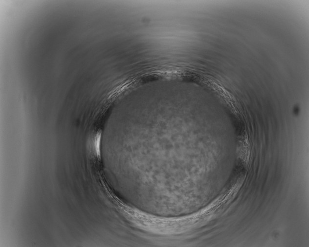 X0000100860047200806271210