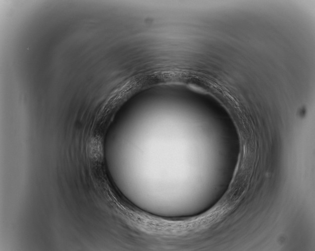 X0000100860048200806271210