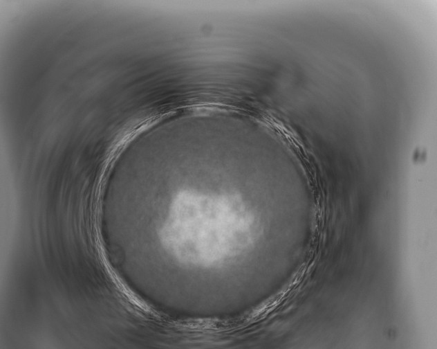 X0000100860049200806271209