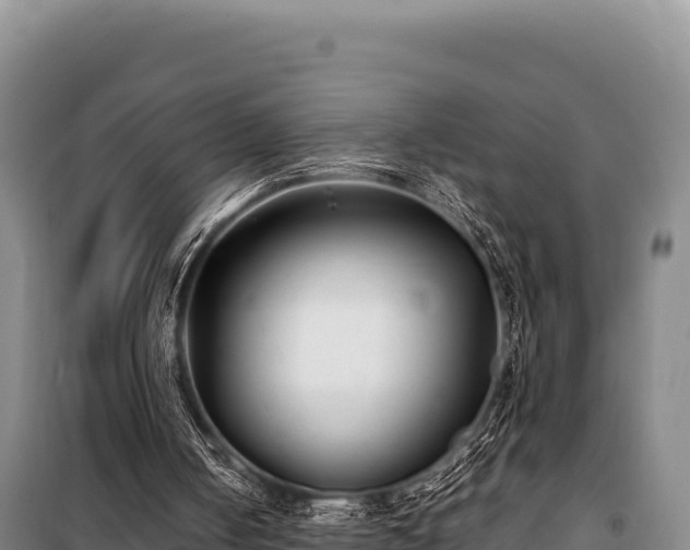 X0000100860050200806271209