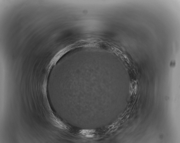 X0000100860051200806271209