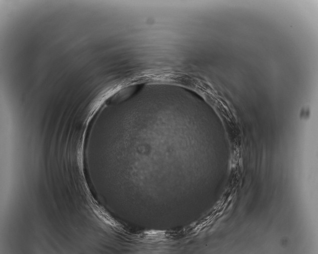 X0000100860052200806271209