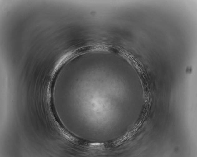 X0000100860053200806271209