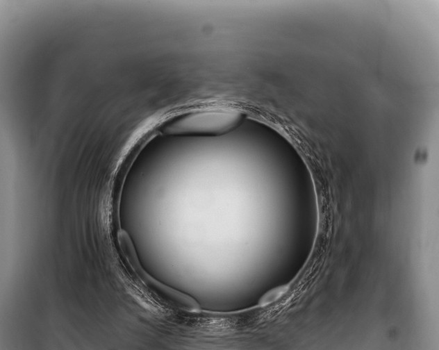 X0000100860056200806271209