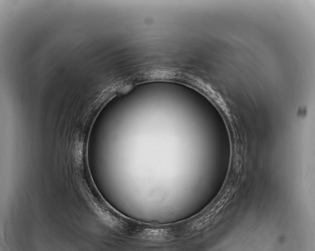 X0000100860057200806271209