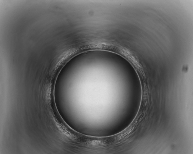 X0000100860058200806271209