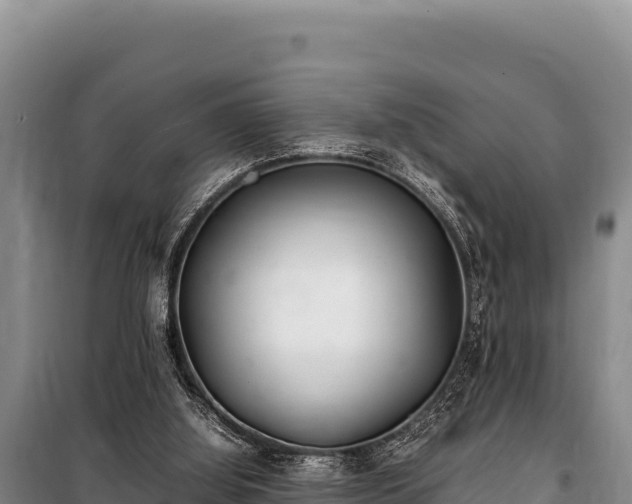 X0000100860060200806271209