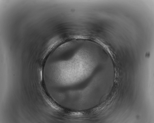 X0000100860061200806271209