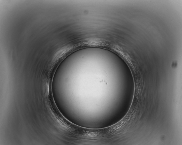 X0000100860062200806271209