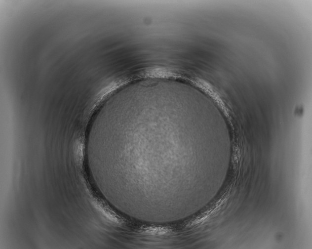 X0000100860063200806271209