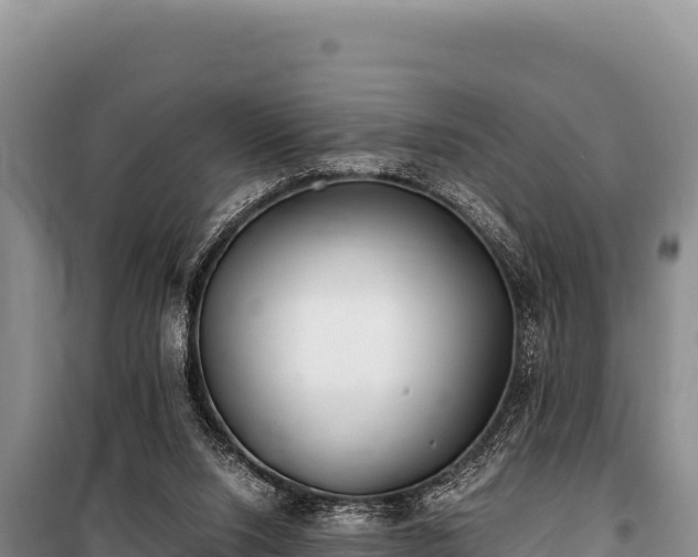 X0000100860064200806271209