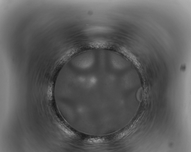 X0000100860065200806271209