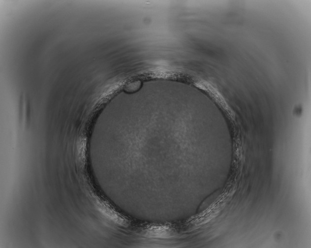 X0000100860066200806271209