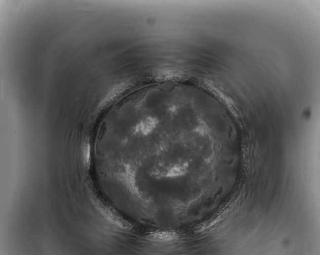 X0000100860067200806271209