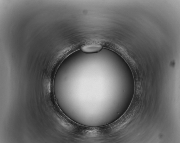 X0000100860068200806271209