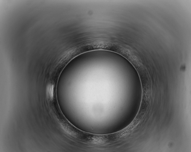 X0000100860070200806271209