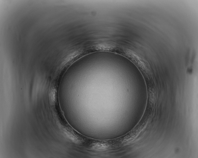 X0000100860071200806271209