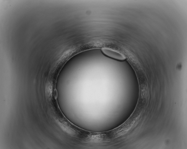 X0000100860072200806271209