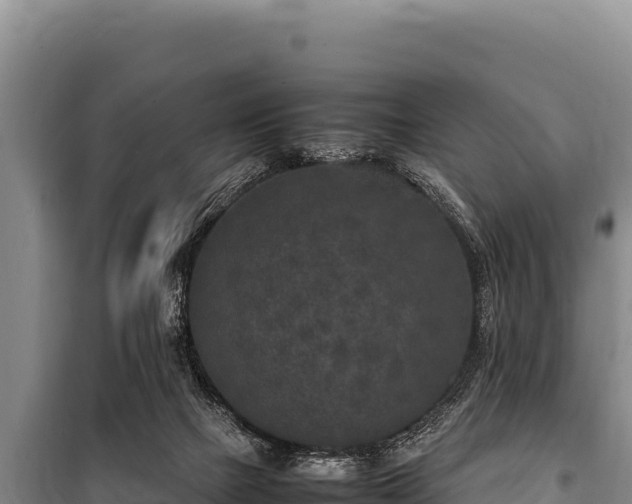 X0000100860073200806271209