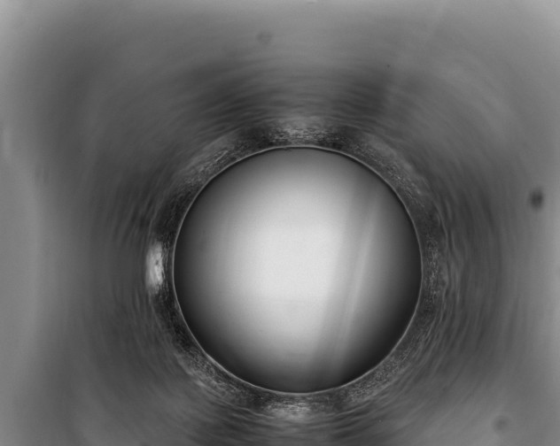 X0000100860075200806271209