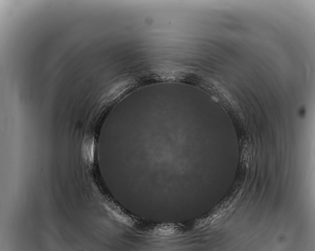 X0000100860076200806271209