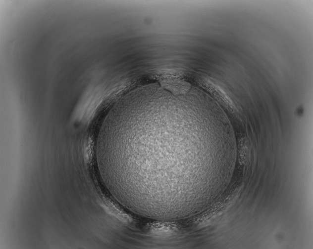 X0000100860077200806271209