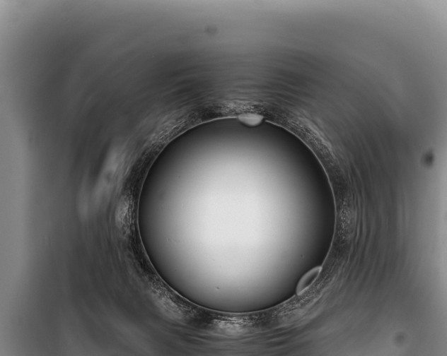 X0000100860079200806271209