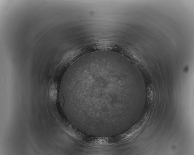 X0000100860080200806271209