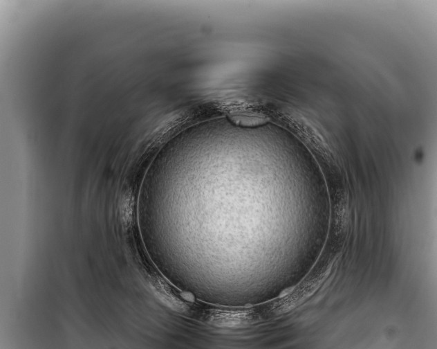 X0000100860081200806271209