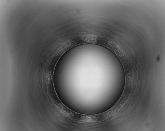 X0000100860083200806271210