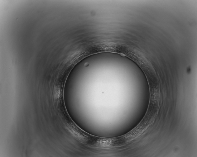 X0000100860084200806271210