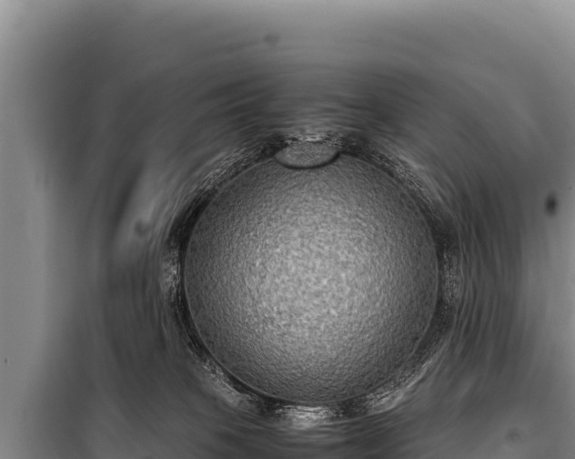 X0000100860085200806271210