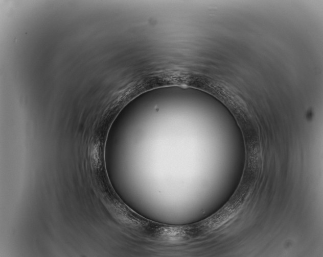 X0000100860088200806271210