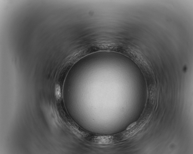 X0000100860089200806271210