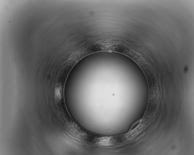 X0000100860090200806271210